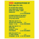 Frooti Tetra 125ml - Refreshing Mango Drink