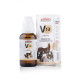 Bakson Veterinary V-13 Prostatitis Drops - Effective Pet Care Solution
