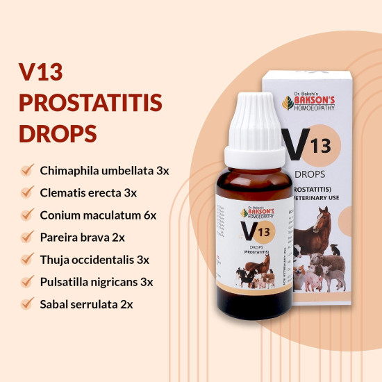 Bakson Veterinary V-13 Prostatitis Drops - Effective Pet Care Solution