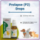 Bakson Veterinary Prolapse Aid (P2) Drops - Effective Prolapse Recovery Solution