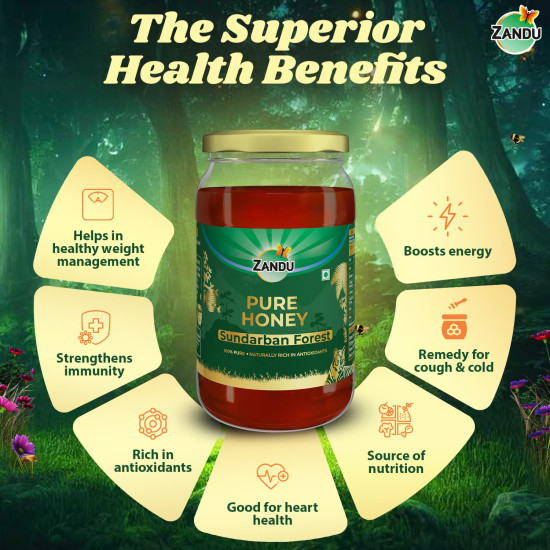 Zandu Pure Honey Sundarban Forest, Natural Honey from the Largest Mangrove Forest, Multi Flora & Medicinal Properties, Comes without Added Sugar & Preservatives, 100% Natural, Glass Jar, 500g
