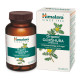 Himalaya Organic Gokshura Pack of 60 - Natural Wellness Supplement