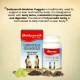 Baidyanath Medohar Guggulu Tablets, Enriched with Guggulu, Chitrakmool and Nagarmotha- 120 Tab (Pack of 1)