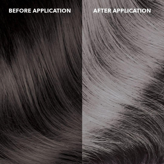 Paradyes Bullet Silver Temporary Hair Color - No Bleach Hair Makeup