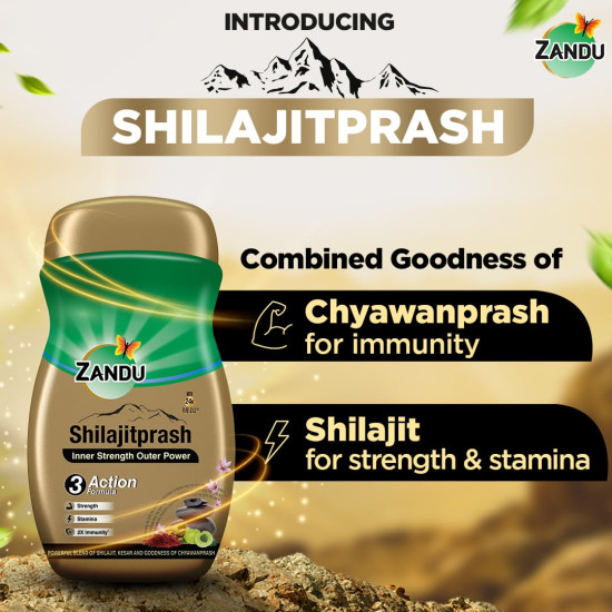 Zandu Shilajitprash | Dual Goodness of Chyawanprash & Shilajit/Shilajeet | Strength, Stamina & 2X immunity* | 450g I 24K Gold Bhasma & 47 Potent Herbs I No added sugar I 100% ayurdevic