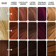 Paradyes Earthy Colors Sample Box - Diverse Vegan Shades Paradyes Earthy Colors Sample Box - Diverse Vegan Shades