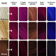 Paradyes Top 5 Colors Sample Box - Vibrant Hair Colors