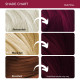 Paradyes Ruby Wine Semi-Permanent Hair Color Kit - Ammonia-Free & Nourishing