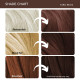 Paradyes Coffee Brown Semi-Permanent Hair Color Kit - Ammonia-Free & Nourishing