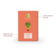 Forest Essentials Luxury Sugar Soap - Natural Ayurvedic Experience
