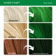 Paradyes Semi-permanent Mayeri Green Hair Colour - Vegan & Cruelty-Free Paradyes Semi-permanent Mayeri Green Hair Colour - Vegan & Cruelty-Free