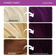 Paradyes Semi-permanent Amethyst Plum Hair Colour - Vibrant & Vegan Paradyes Semi-permanent Amethyst Plum Hair Colour - Vibrant & Vegan