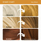 Paradyes Honey Blonde Hair Colour & Bleach Pack - For All Hair Types