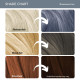 Paradyes Semi-permanent Moonstone Grey Hair Colour - Vegan & Cruelty-Free