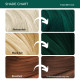 Paradyes Emerald Green Hair Colour & Bleach Pack - Vibrant Semi-Permanent Dye Paradyes Emerald Green Hair Colour & Bleach Pack - Vibrant Semi-Permanent Dye