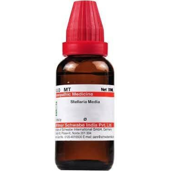 Dr. Willmar Schwabe India Stellaria Media Q 30ML - Rheumatic Pain Relief
