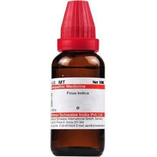 Dr. Willmar Schwabe India Ficus Indica Q 30 ML (Pack of 2) - Natural Remedy for Nausea & Diarrhoea