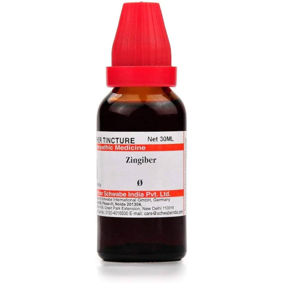 Dr. Willmar Schwabe India Zingiber Q 30 ML (Pack of 3) - Nausea Relief