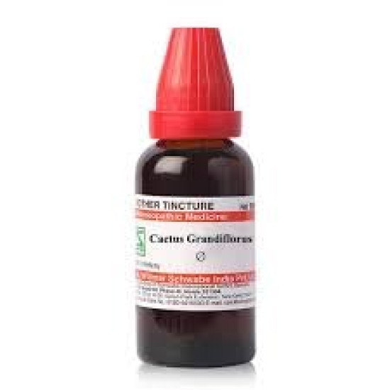 Dr Willmar Schwabe India Cactus Grandiflorus Q 30ML (Pack of 2) - Homeopathic Remedy