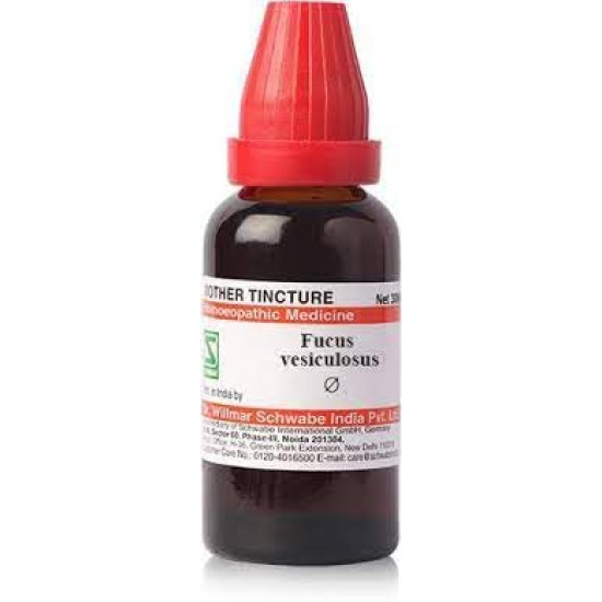 Dr Willmar Schwabe India Fucus Vesiculosus Q 30ML - Natural Homeopathic Remedy