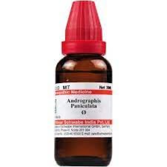 Dr Willmar Schwabe India Andrographis Paniculata Q 30ML (Pack of 2) - Chronic Digestive Relief