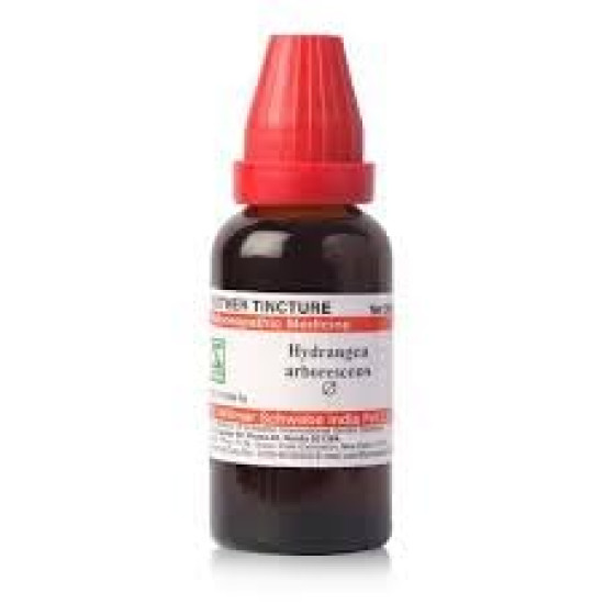Dr Willmar Schwabe India Hydrangea Arborescens Q 30ML - Homeopathic Remedy