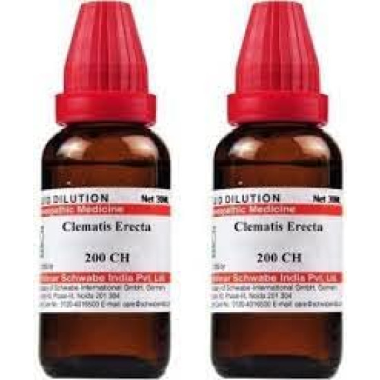 Dr Willmar Schwabe India Clematis Erecta 200 CH, 30 ML (Pack of 2) - Homeopathic Headache Relief