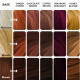 Paradyes Lighten Up! Bleach Pack + Earthy Hair Color Sample Box - Vibrant Vegan Hair Colors Paradyes Lighten Up! Bleach Pack + Earthy Hair Color Sample Box - Vibrant Vegan Hair Colors