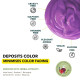Paradyes Anti Fade Purple Conditioner - Long-lasting Color Protection