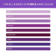 Paradyes Anti Fade Purple Conditioner - Long-lasting Color Protection