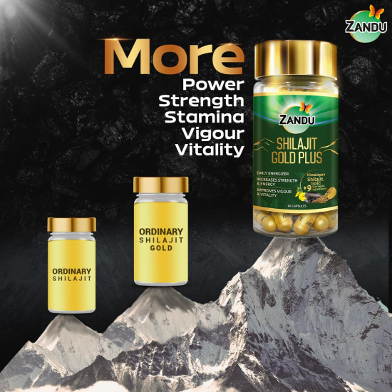 Zandu Shilajit Gold Plus| | 100% Pure Himalayan Shilajit + 24K Gold + 9 powerful herbs | Enhances strength, stamina, vigour, vitality and power | Scientifically tested advanced formula | 60 Caps