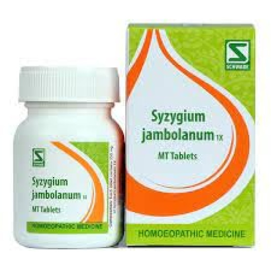 Dr. Willmar Schwabe India Syzygium Jambolanum 1X 20 Gm (Pack of 2) - Natural Blood Sugar Support