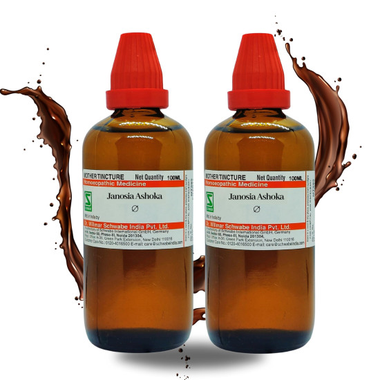 Dr Willmar Schwabe India Janosia ashoka Q 200ML - Mother Tincture
