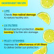Dot & Key Lime Rush Swim + Sports Sunscreen SPF 50 PA++++ - Water & Sweat Resistant