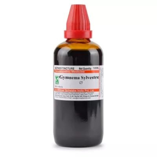 Willmar Schwabe India Gymnema Sylvestre (Q) (100ml) - Natural Blood Sugar Support