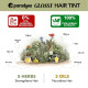 Paradyes No Bleach Hazel Brown Glossy Hair Tint - Ammonia-Free Formula