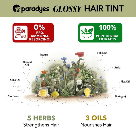 Paradyes No Bleach Cherry Coke Glossy Hair Tint - Ammonia-Free Formula Paradyes No Bleach Cherry Coke Glossy Hair Tint - Ammonia-Free Formula