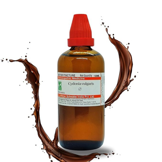 Dr Willmar Schwabe India Cydonia vulgaris Q 100ML - Premium Homeopathic Tincture