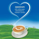 Nestle Everyday Dairy Creamer Sachets, Dairy Whitener, Milk Powder (100x3g)