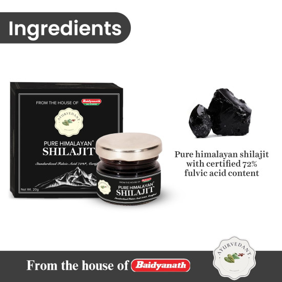 Baidyanath Ayurvedant Pure Himalayan Shilajit Resin, 20g - Standardized and Certified for Purity | Helps in boosting Stamina