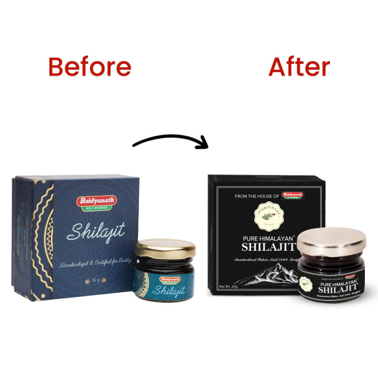 Baidyanath Ayurvedant Pure Himalayan Shilajit Resin, 20g - Standardized and Certified for Purity | Helps in boosting Stamina