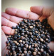 El The Cook Black Peppercorns 50gm - Premium Quality Spice