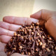 El The Cook Cloves or Lavang 50gm - Aromatic Spice for Culinary Delights