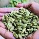 El The Cook Green Cardamom 20gm - Aromatic Spice for Culinary Delights