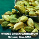 El The Cook Green Cardamom 20gm - Aromatic Spice for Culinary Delights
