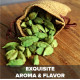 El The Cook Green Cardamom 20gm - Aromatic Spice for Culinary Delights