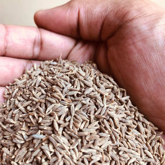 El The Cook Jeera or Cumin Seeds 50gm - Authentic Indian Spice