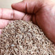 El The Cook Jeera or Cumin Seeds 50gm - Authentic Indian Spice