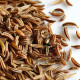 El The Cook Shah Jeera or Caraway Seeds 50gm - Authentic Flavor Enhancer