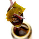 El The Cook Venn Pongal Tadka Jar - Authentic Indian Flavors